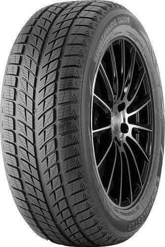 DoubleStar 245/45  R18  DW09  [96] T  FR