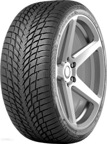 Nokian 255/40  R18  WR SNOWPROOF P  [99] V  XL  FR  DOT2024
